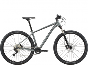 2020 Cannondale Trail 4 GRY 29M