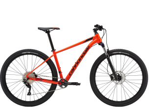 2019 Cannondale Trail 5 ARD 29M 